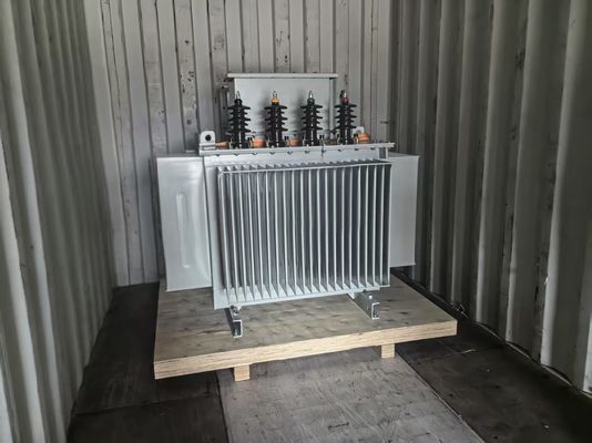 Transformateur de distribution immergé dans l'huile de classe d'isolation 750 KVA pour une distribution de puissance fluide