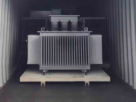 Transformateur immergé dans l'huile de 750 KVA pour l'isolation dans les réseaux de distribution d'électricité industriels